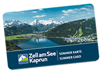Appartement Haus Elise in Zell am See